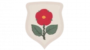 1909
