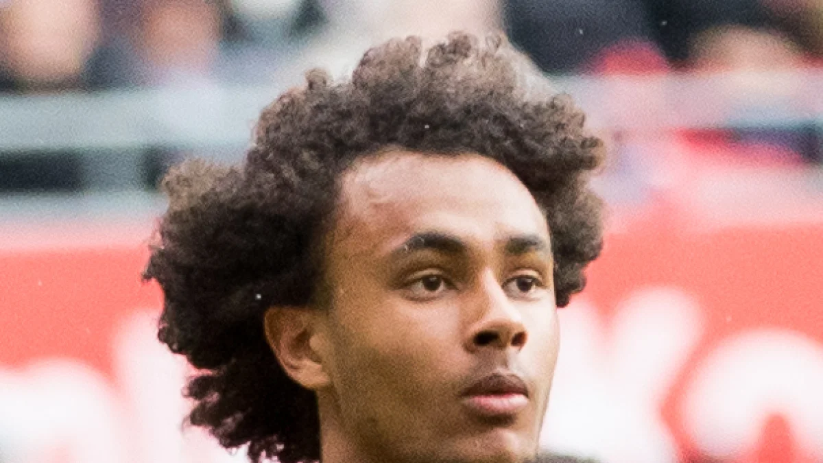 Joshua Zirkzee — фото: Wikipedia