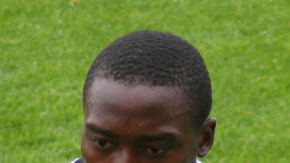 Shola Ameobi — фото: Wikipedia